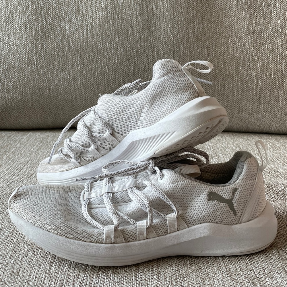 White Pumas